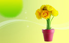 Flower Wallpapers new 14